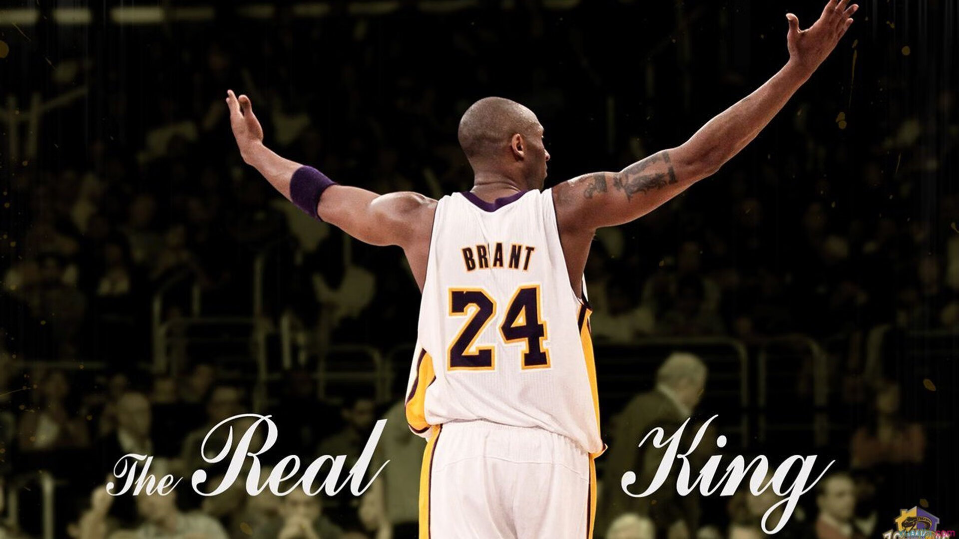 世界杯中锋角色演变：传统高点型中锋正在强势回归