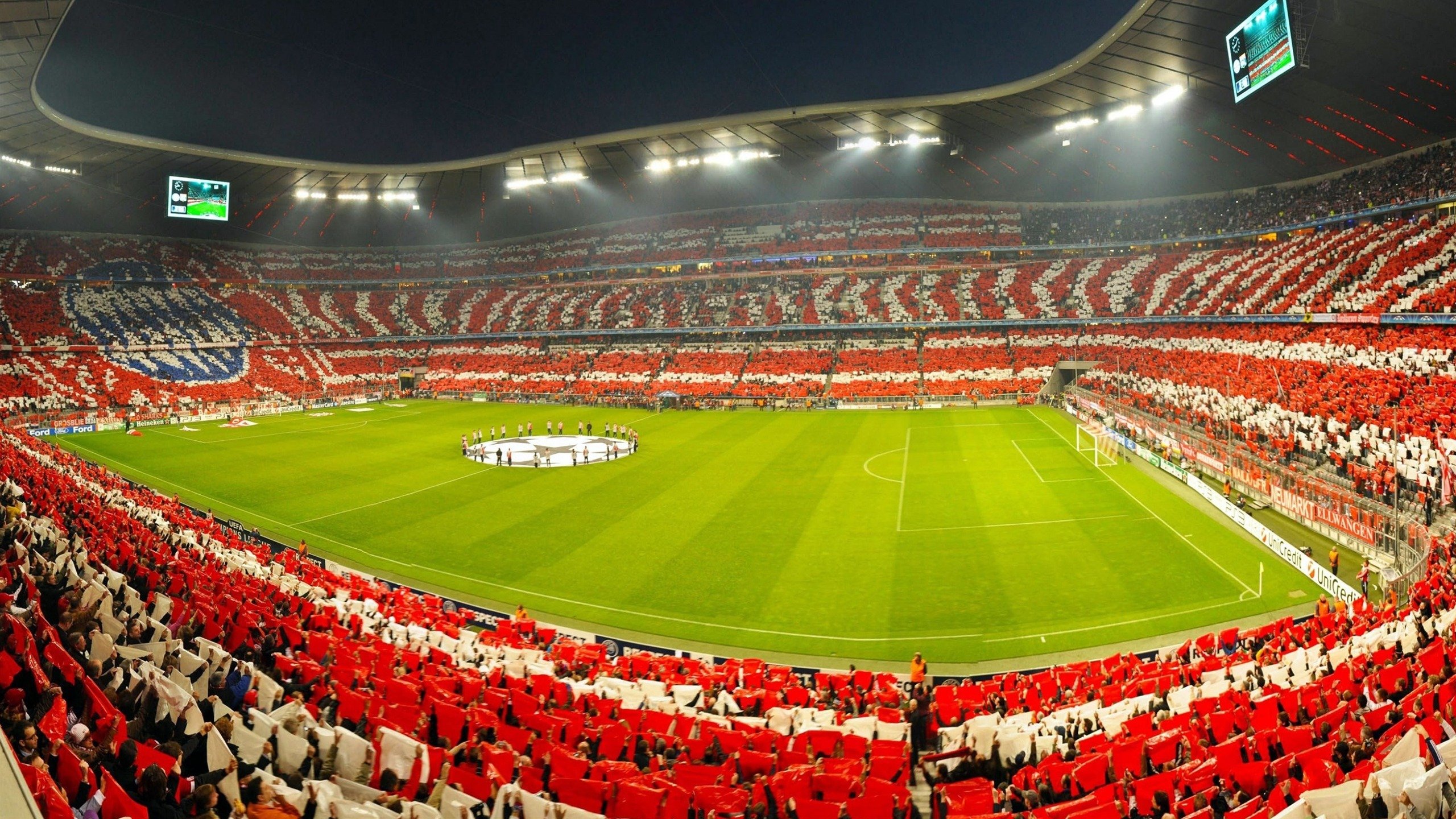 健身达人秘密训练